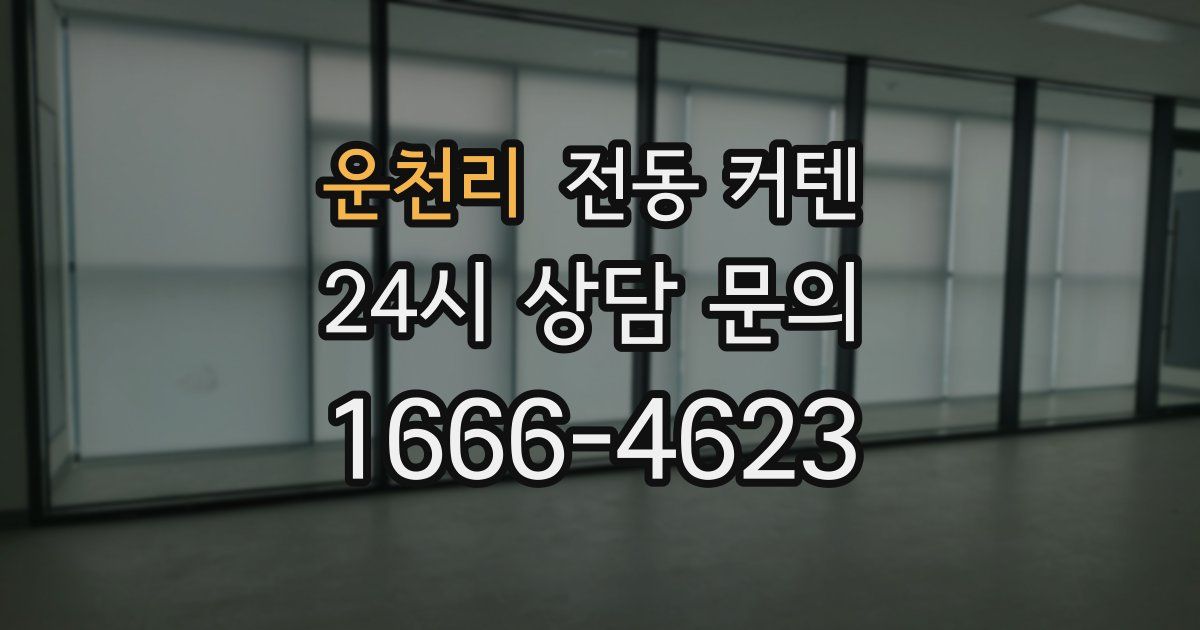 운천리 전동 커텐