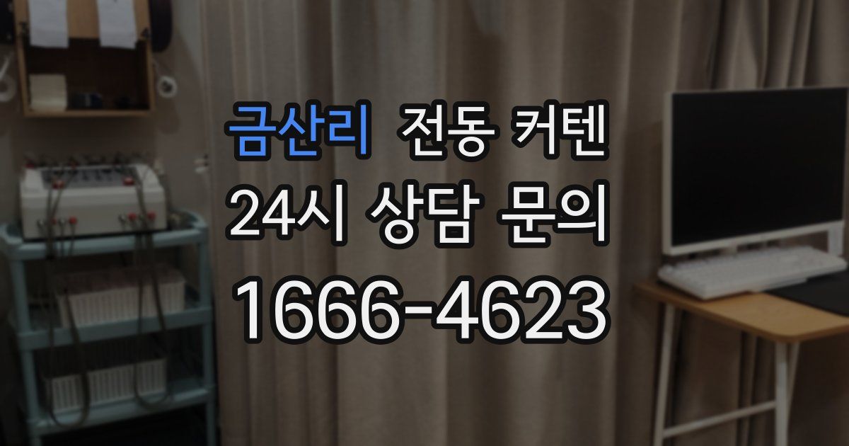 금산리 전동 커텐