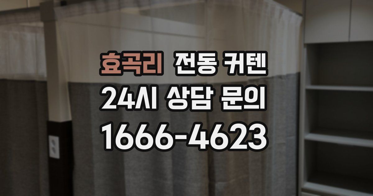 효곡리 전동 커텐