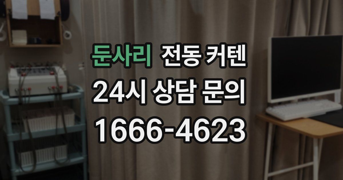 둔사리 전동 커텐