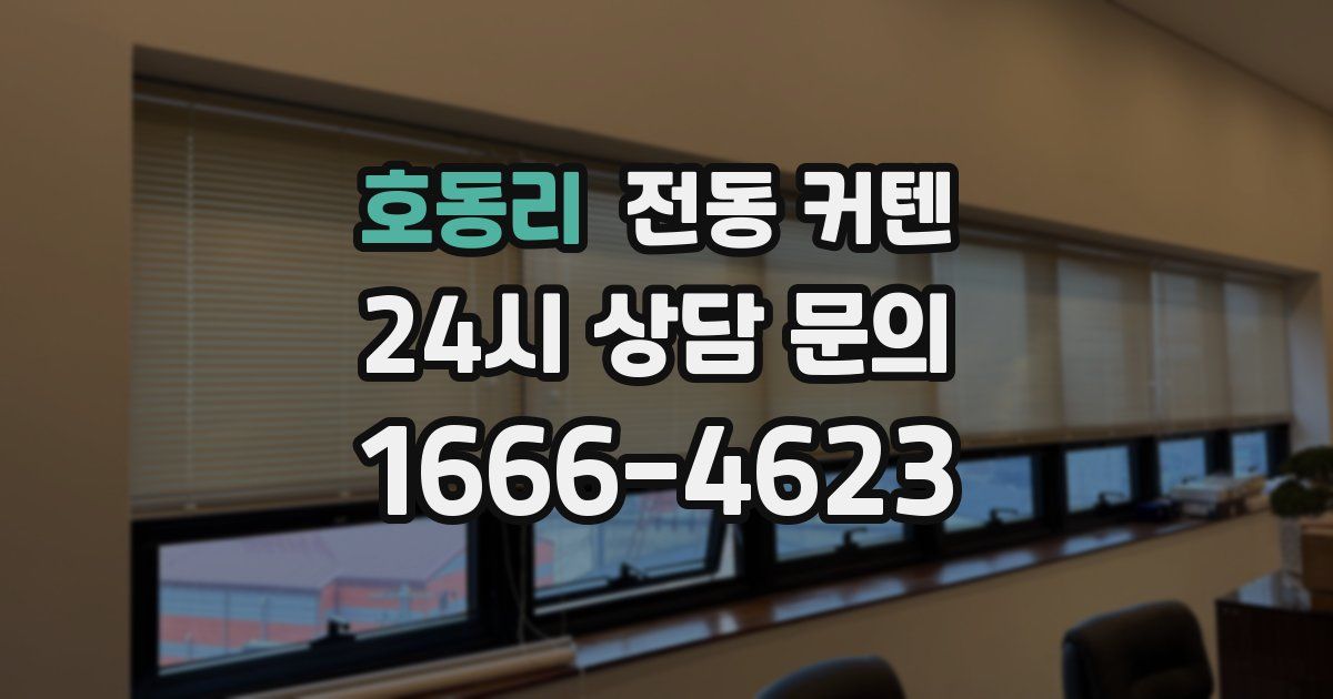 호동리 전동 커텐