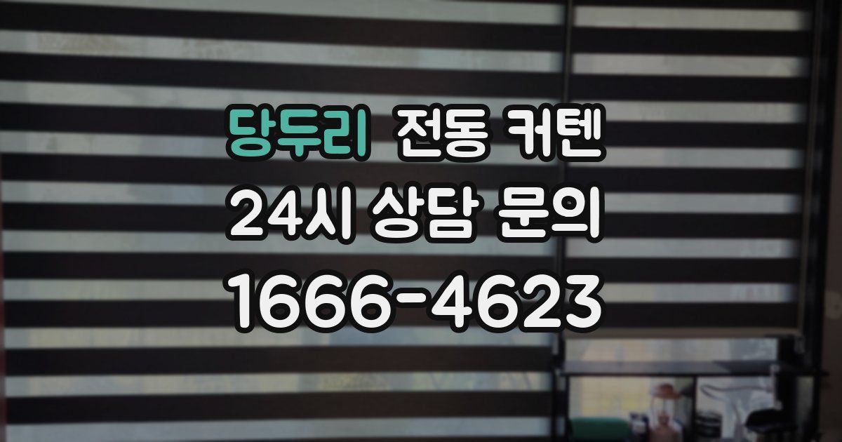 당두리 전동 커텐