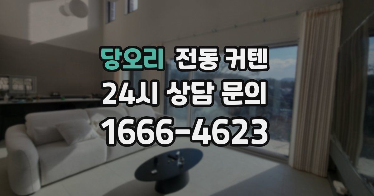 당오리 전동 커텐