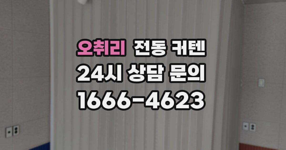오취리 전동 커텐