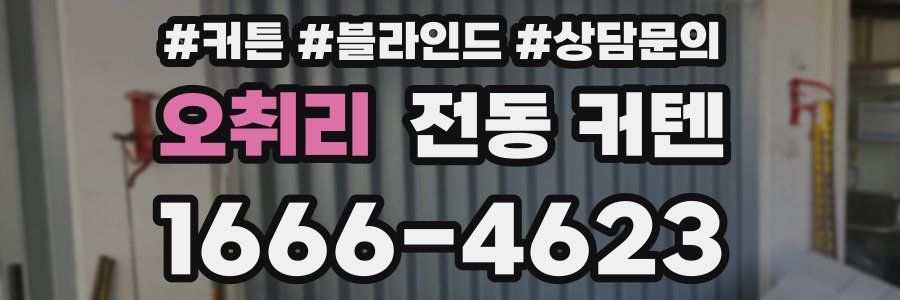 오취리 전동 커텐