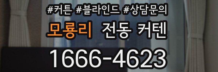 모룡리 전동 커텐