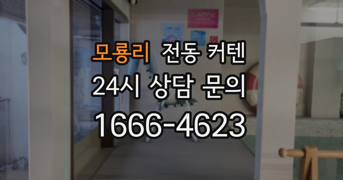 모룡리 전동 커텐