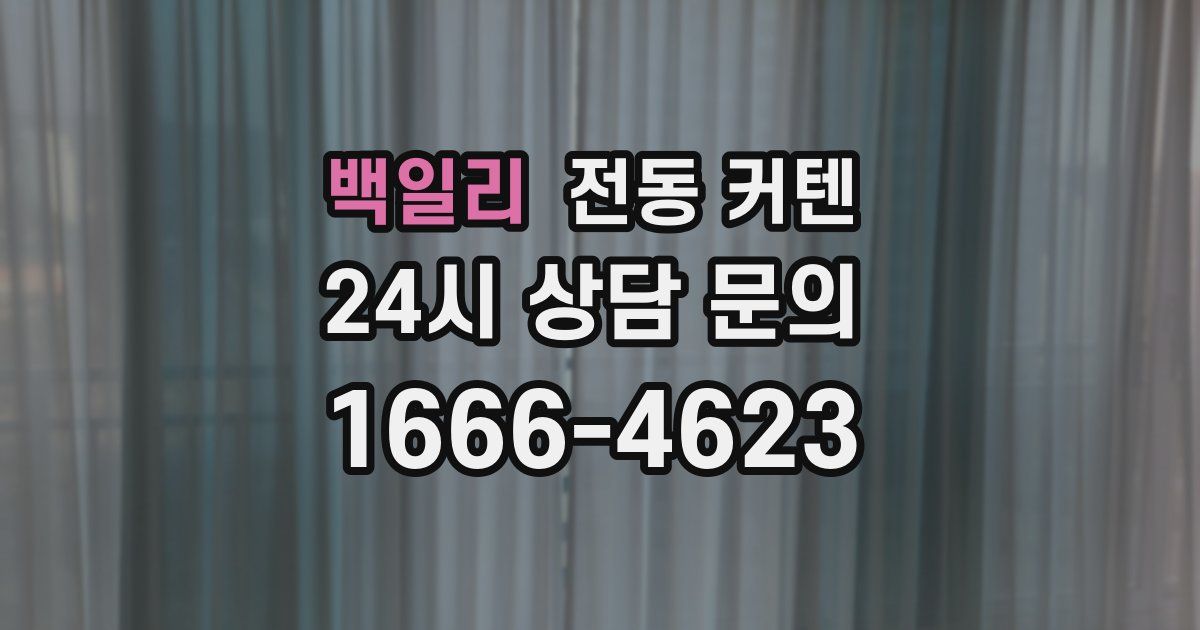 백일리 전동 커텐