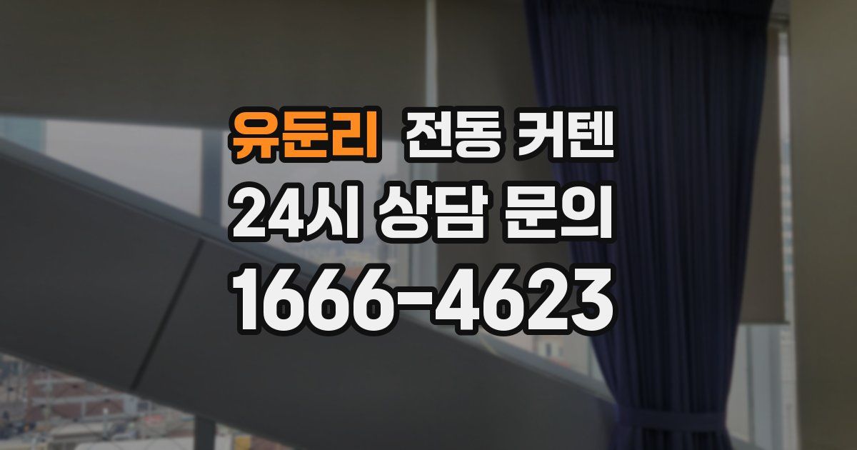 유둔리 전동 커텐