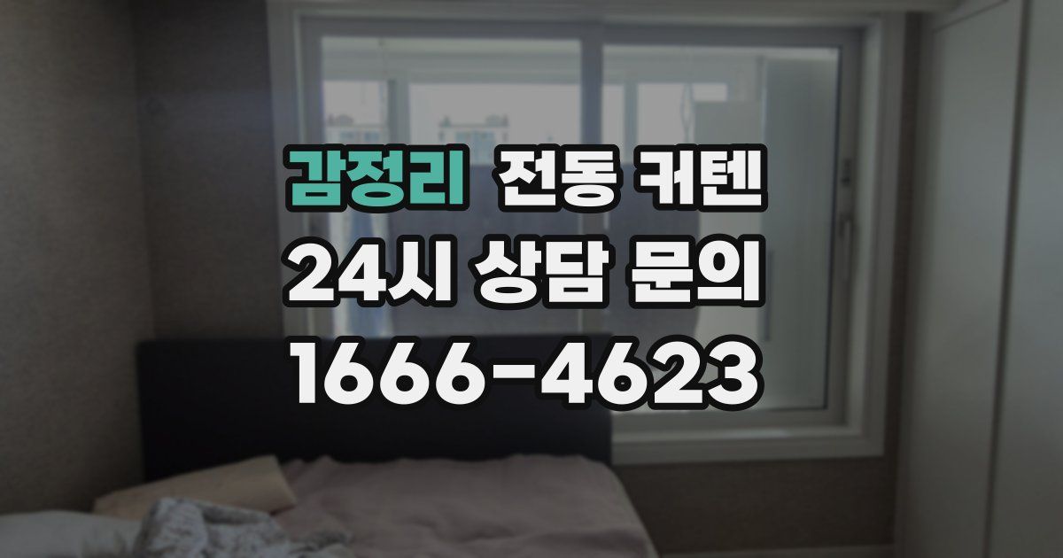감정리 전동 커텐