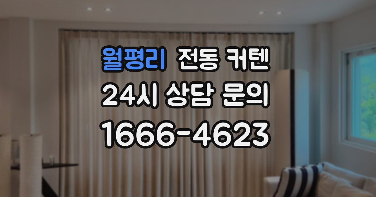 월평리 전동 커텐