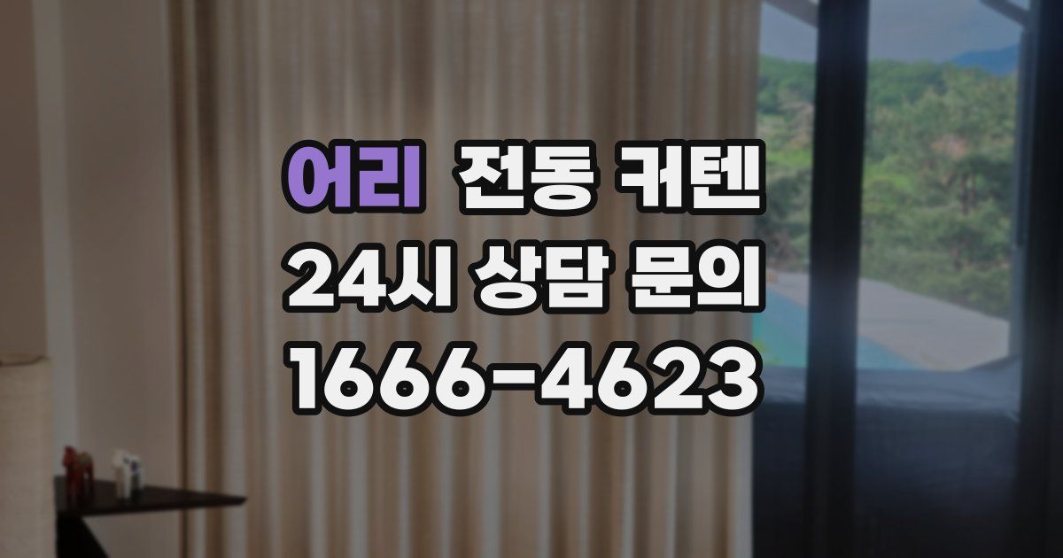 어리 전동 커텐