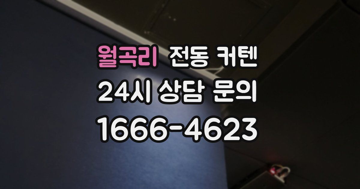 월곡리 전동 커텐