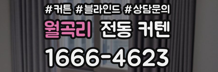 월곡리 전동 커텐