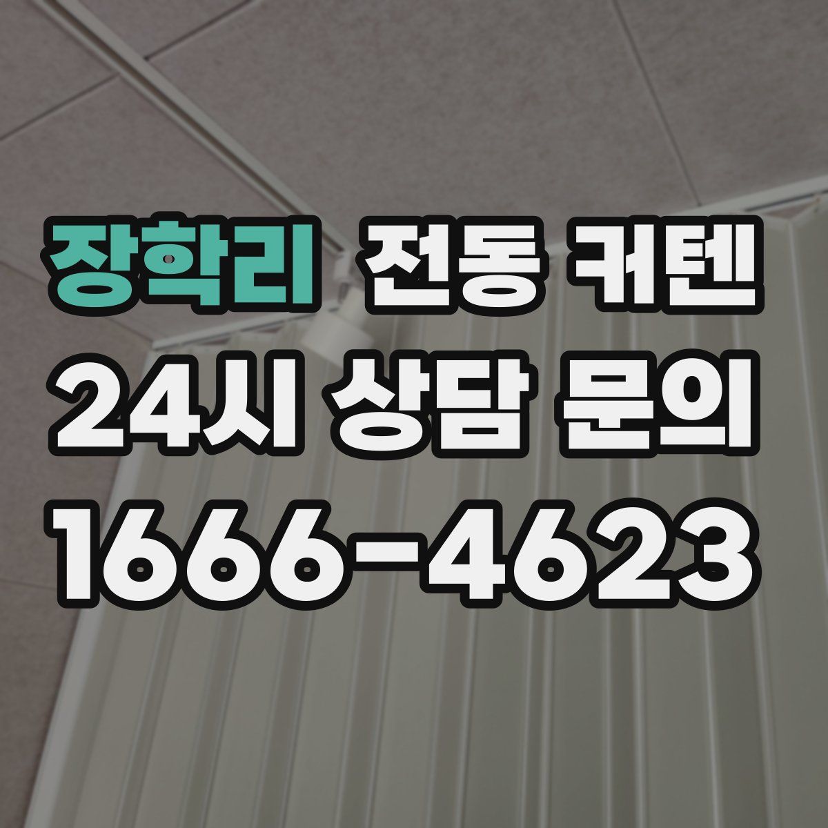 장학리 전동 커텐