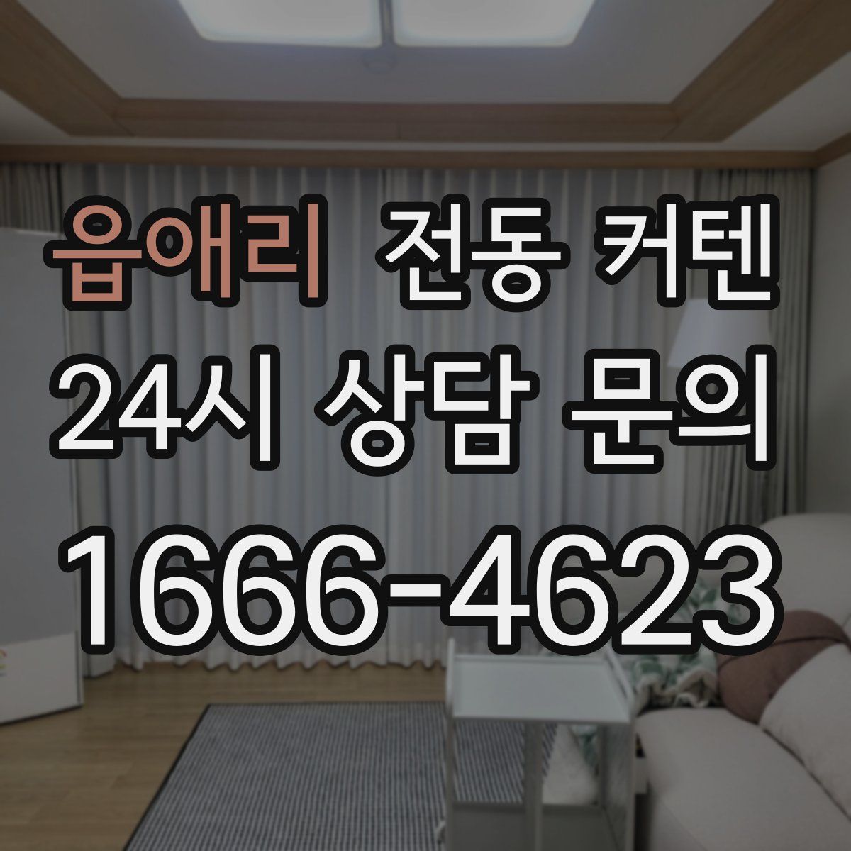 읍애리 전동 커텐