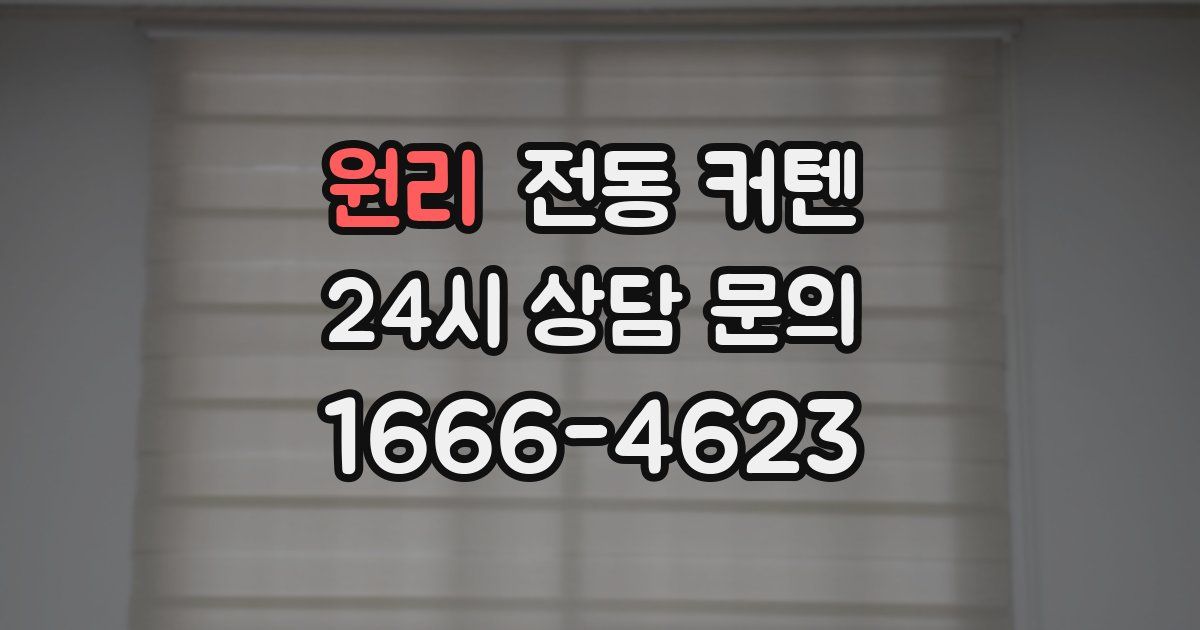 원리 전동 커텐