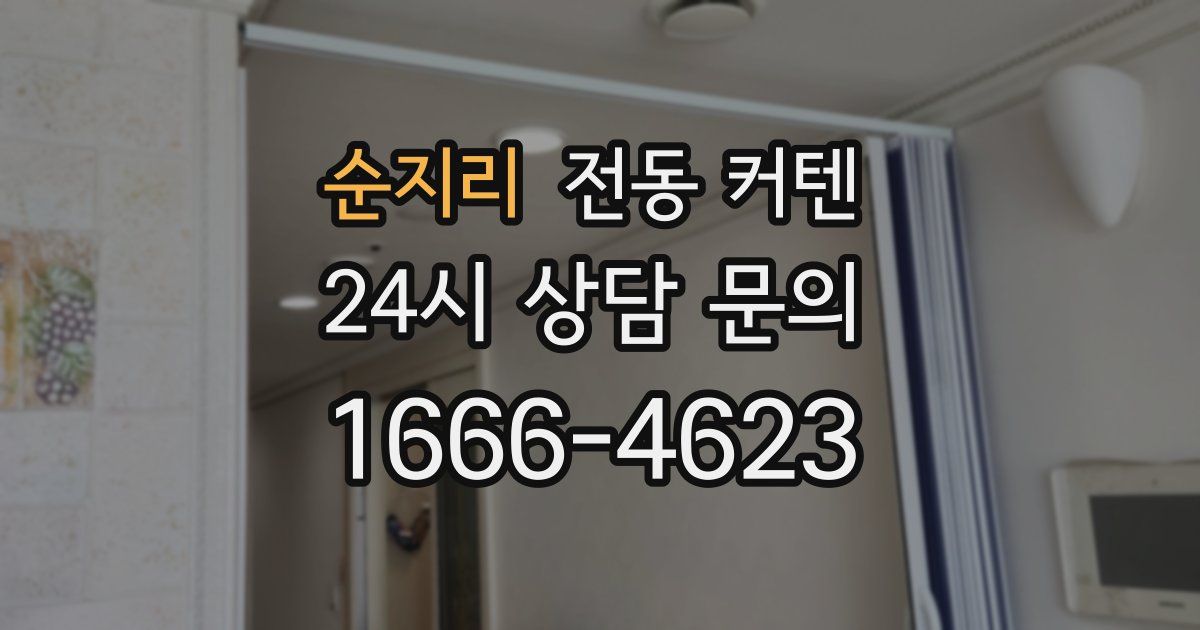 순지리 전동 커텐