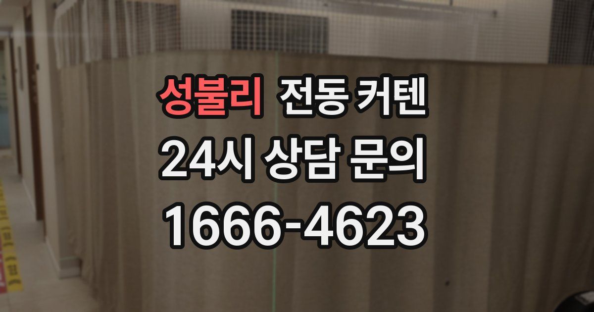 성불리 전동 커텐