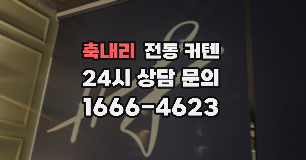 축내리 전동 커텐