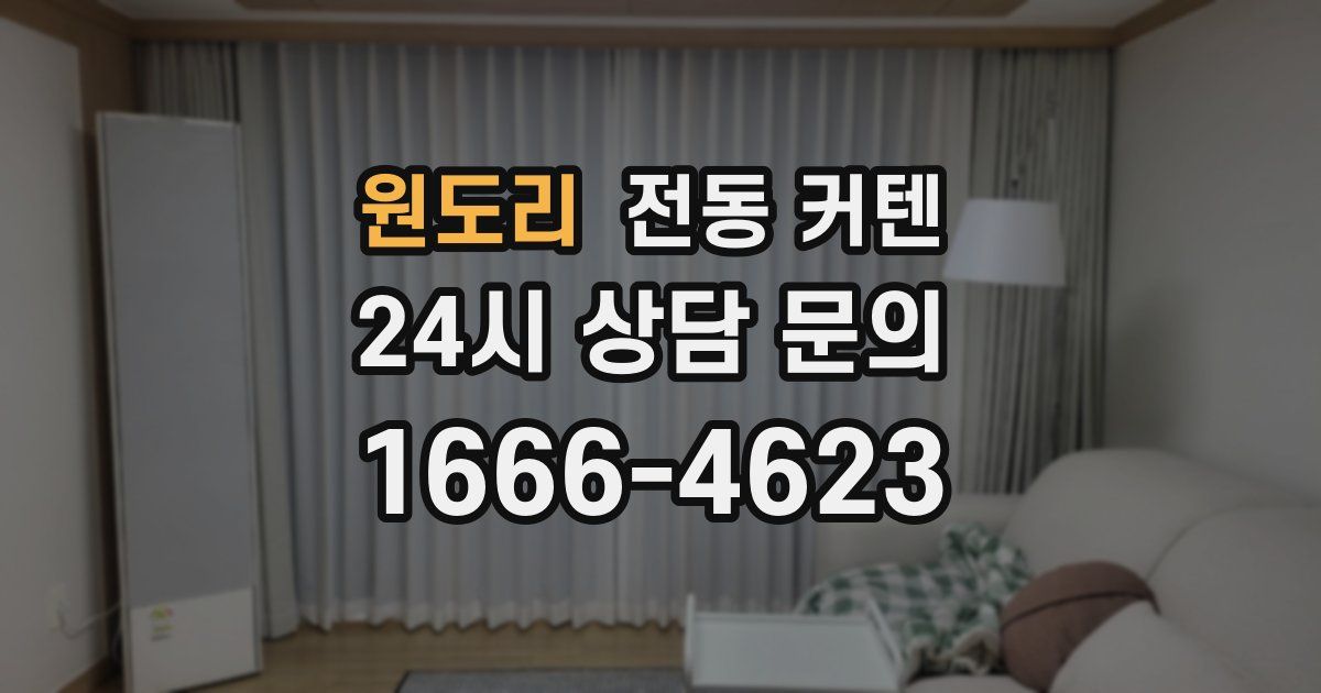 원도리 전동 커텐