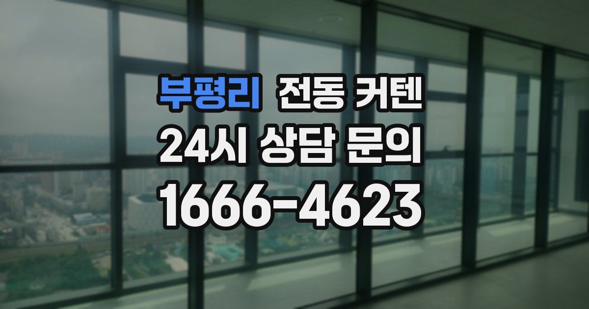 부평리 전동 커텐