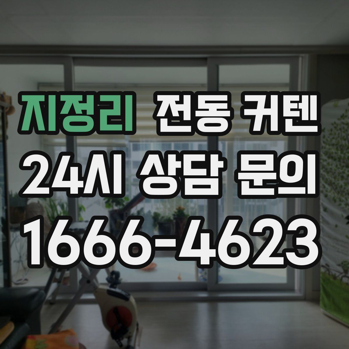 지정리 전동 커텐