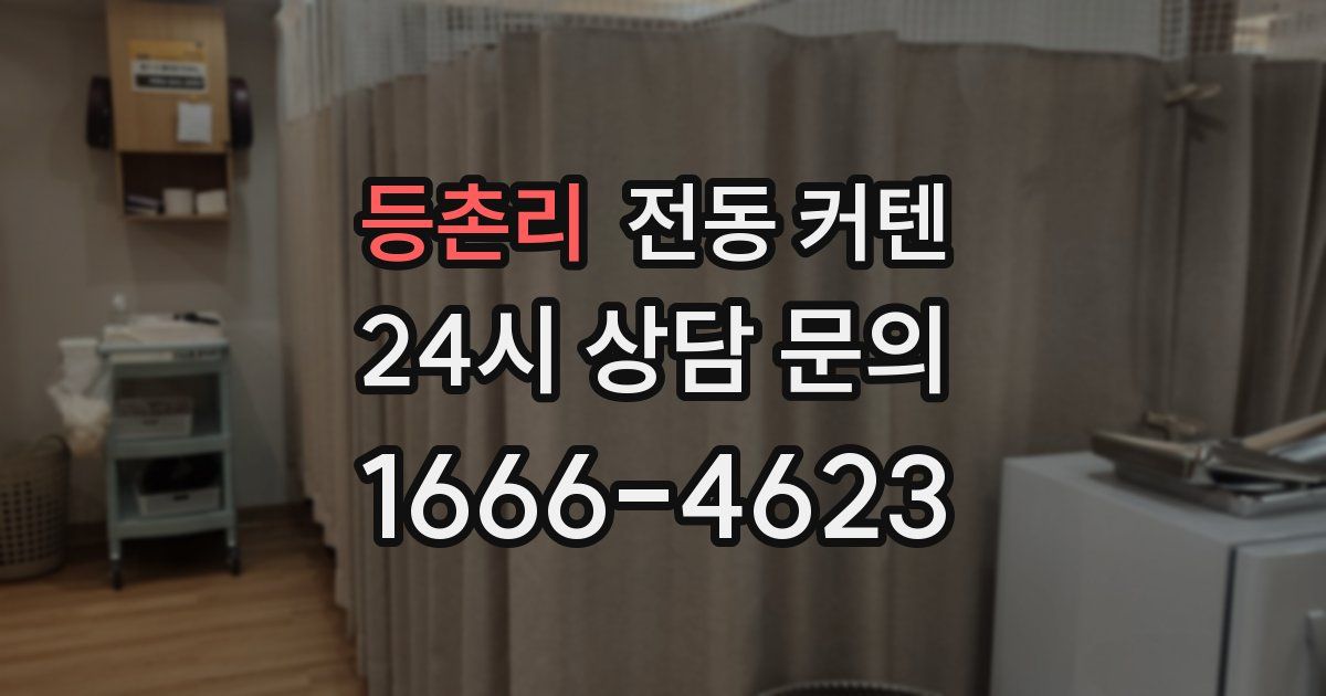 등촌리 전동 커텐
