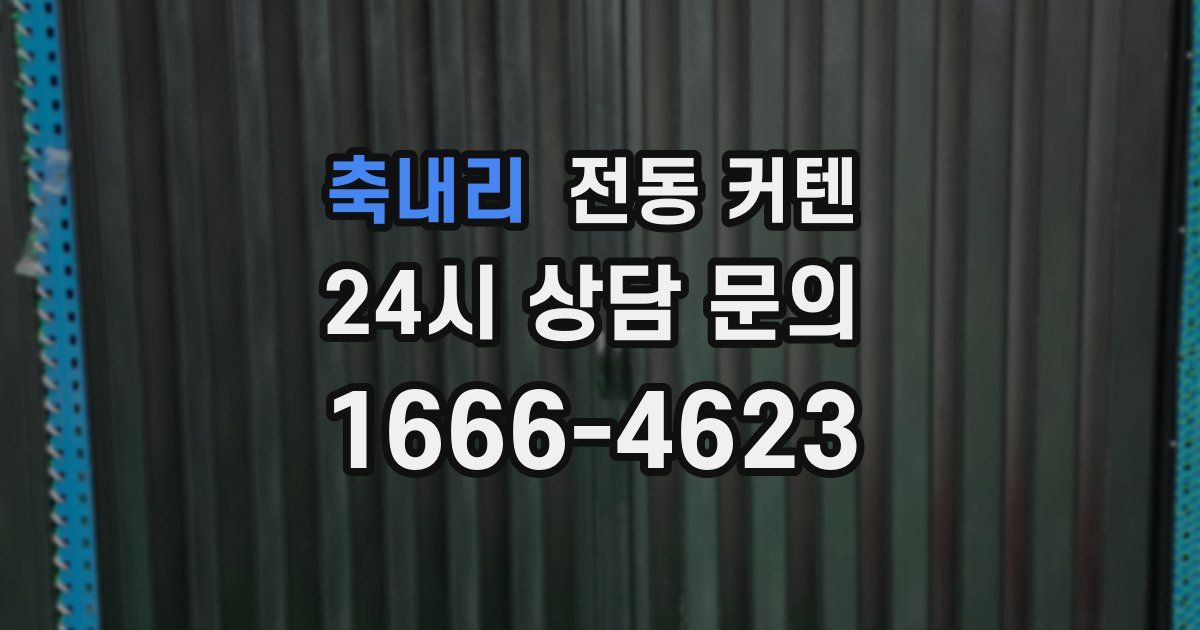 축내리 전동 커텐