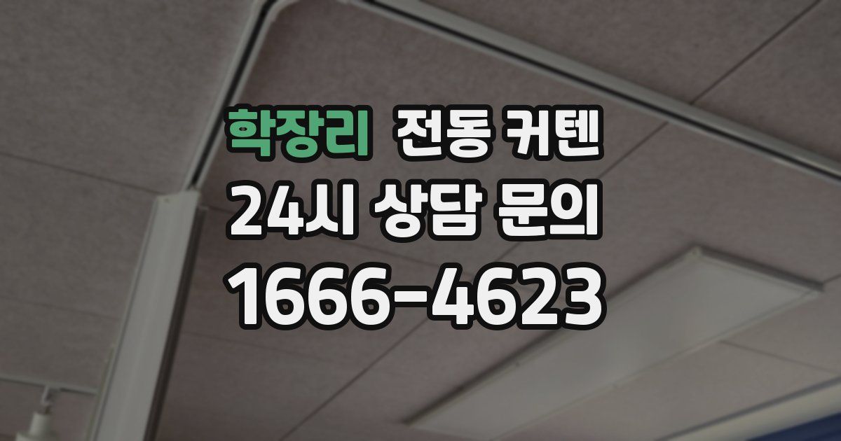 학장리 전동 커텐