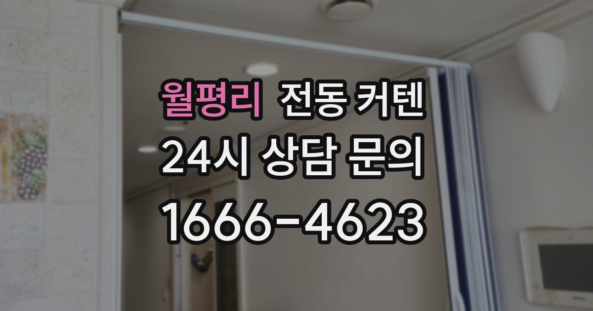 월평리 전동 커텐