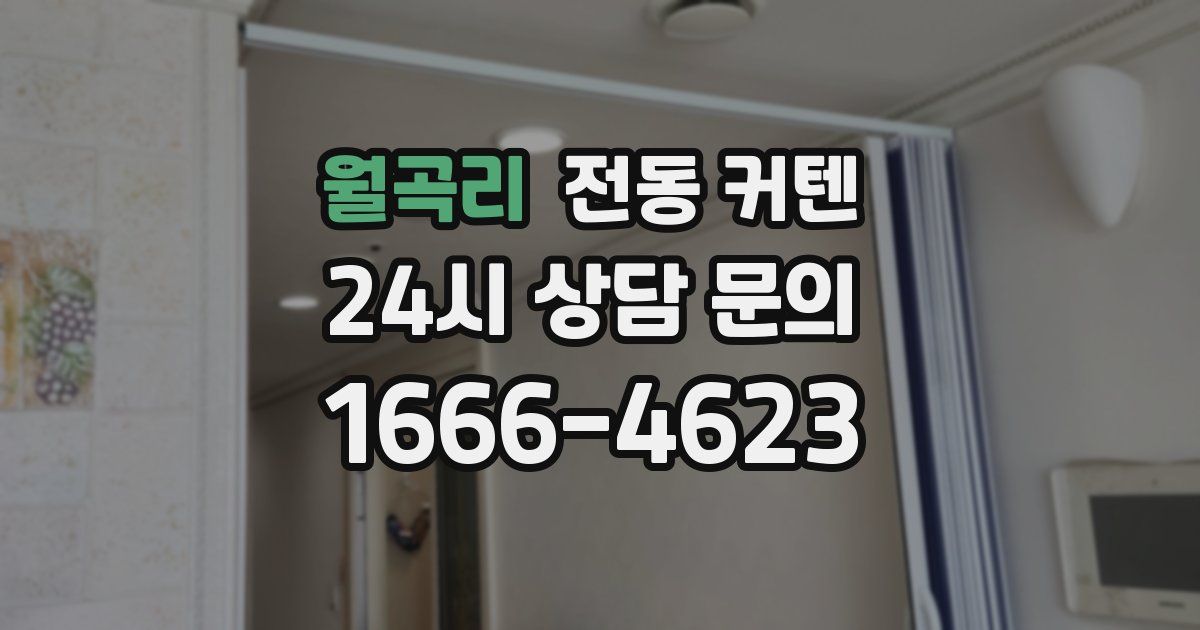 월곡리 전동 커텐