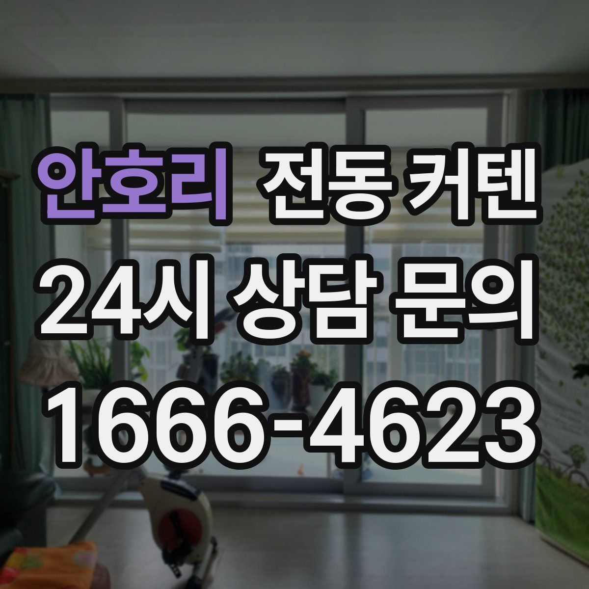 안호리 전동 커텐