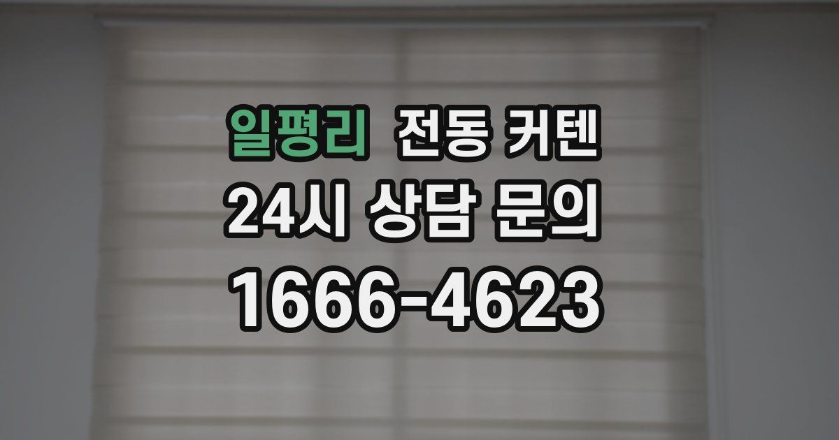 일평리 전동 커텐