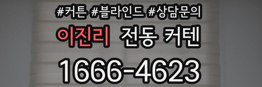 이진리 전동 커텐