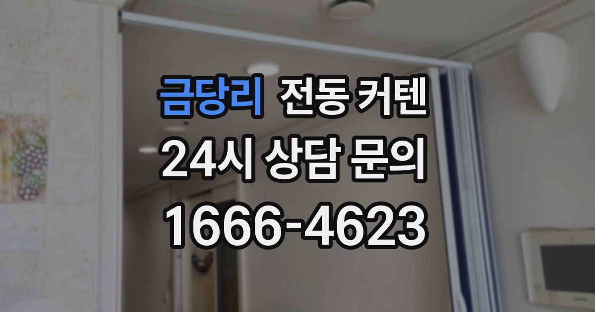 금당리 전동 커텐