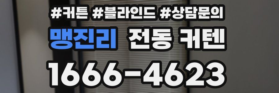 맹진리 전동 커텐