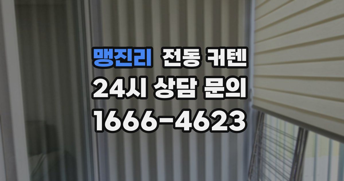 맹진리 전동 커텐