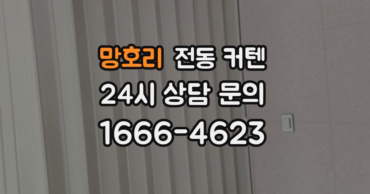 망호리 전동 커텐