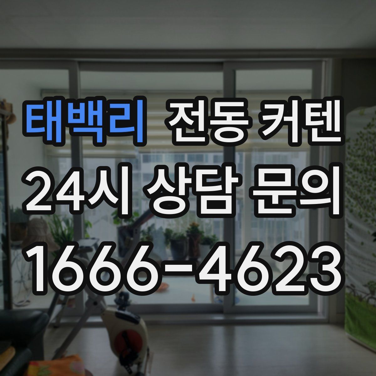 태백리 전동 커텐