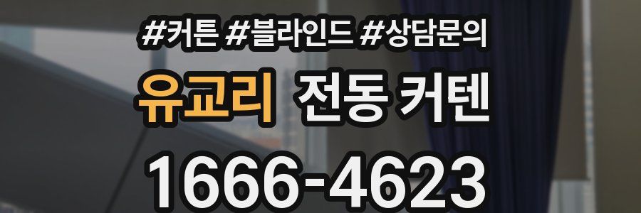 유교리 전동 커텐