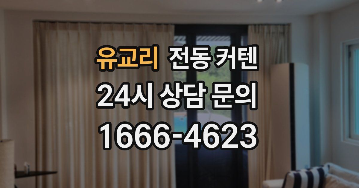 유교리 전동 커텐
