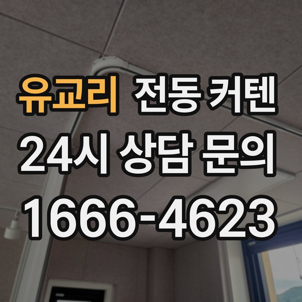 유교리 전동 커텐