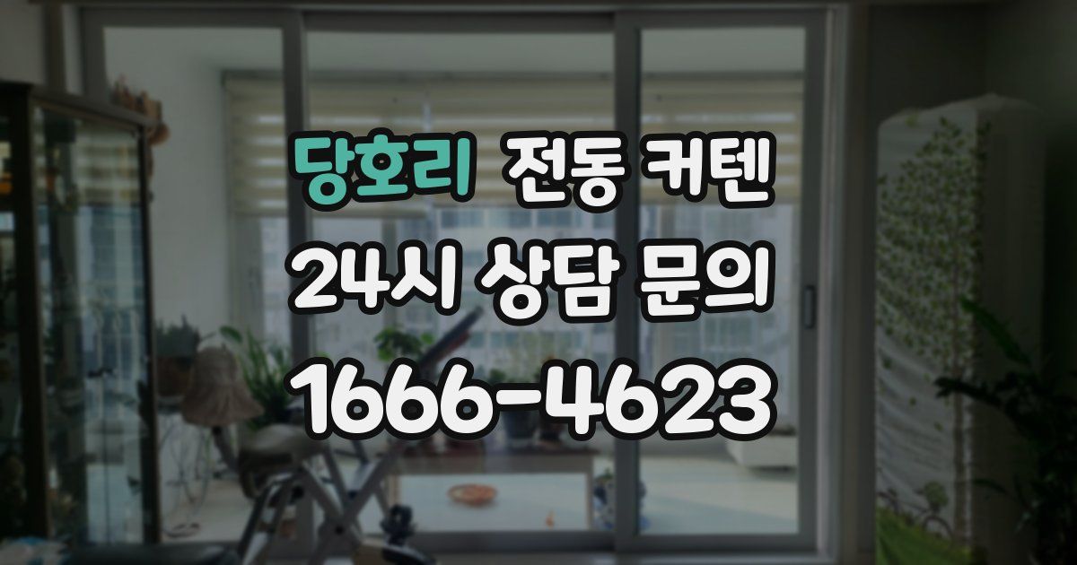 당호리 전동 커텐