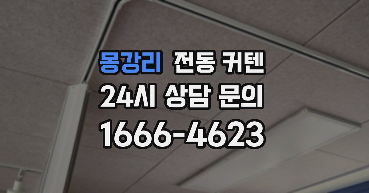 몽강리 전동 커텐
