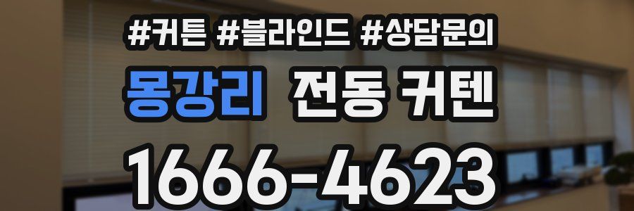 몽강리 전동 커텐