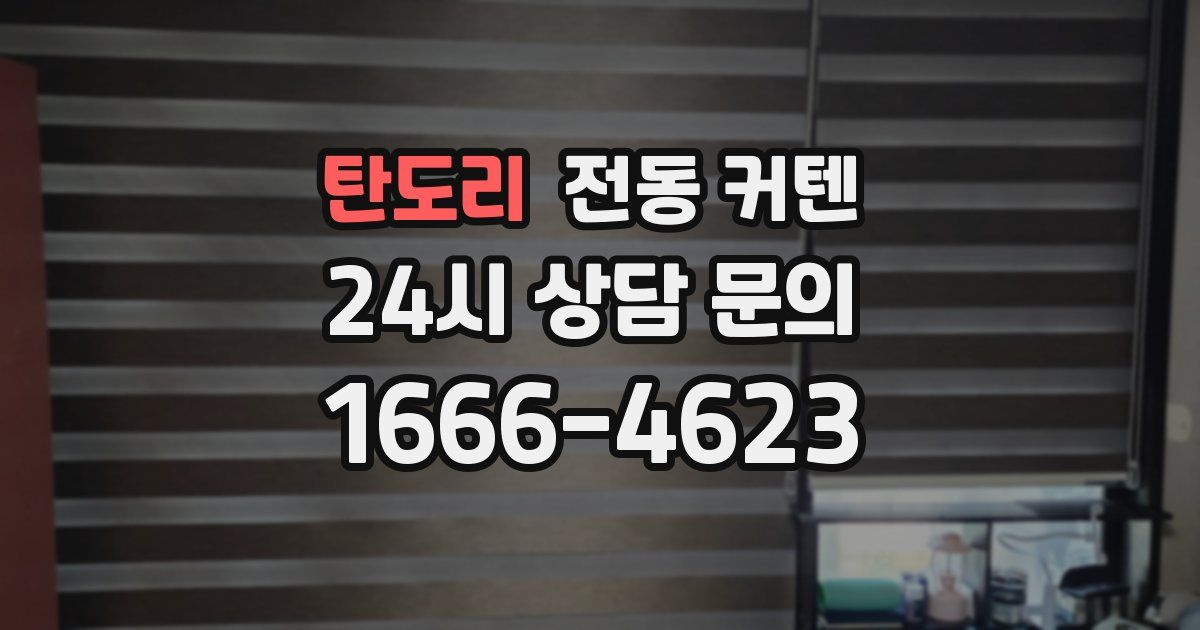 탄도리 전동 커텐