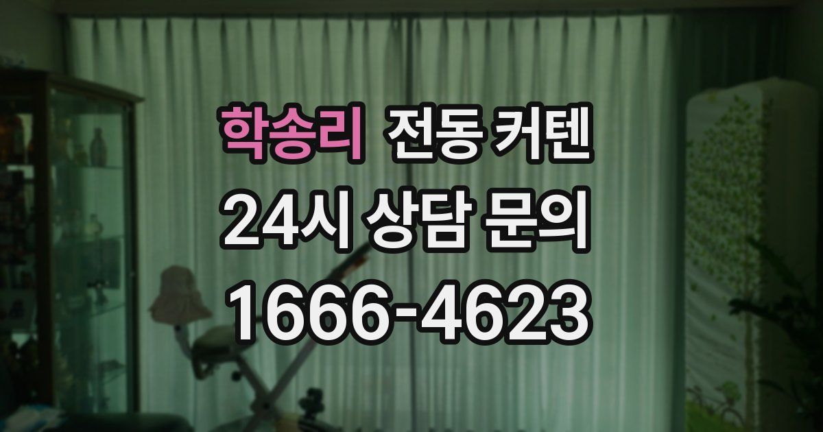 학송리 전동 커텐