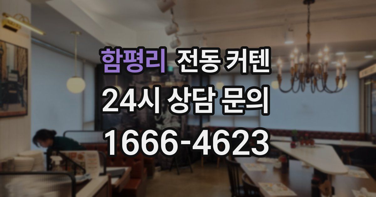 함평리 전동 커텐