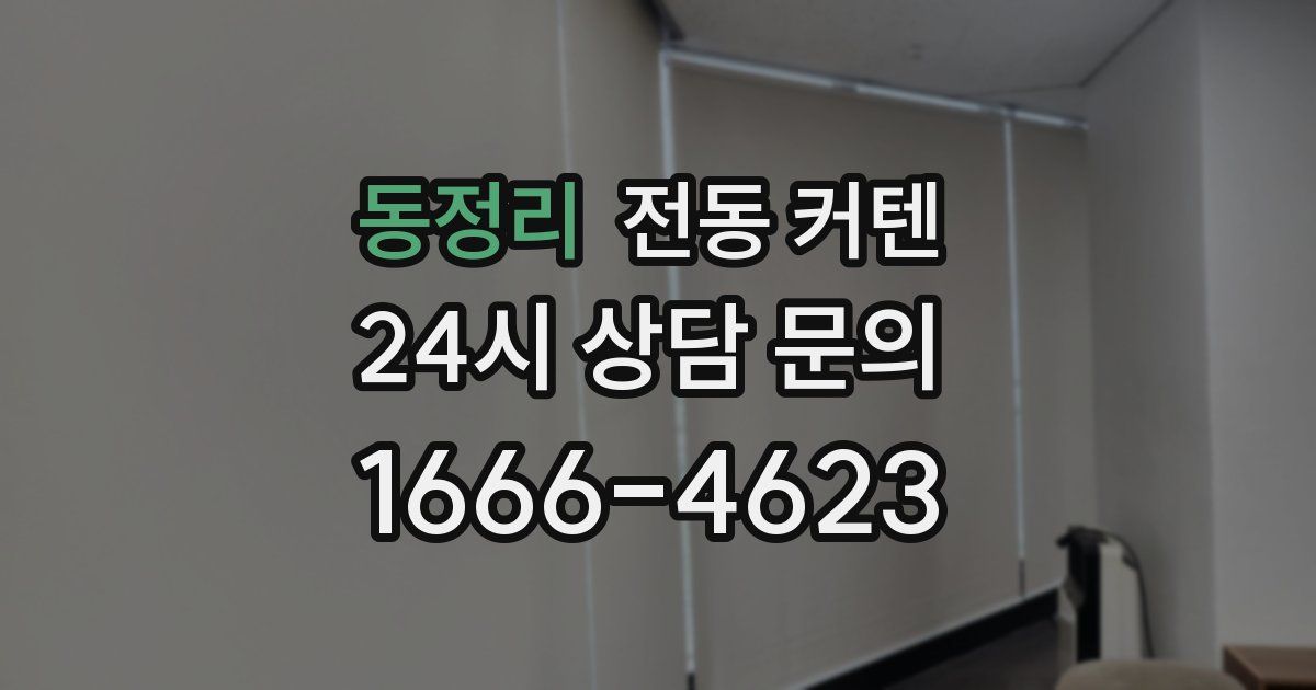 동정리 전동 커텐